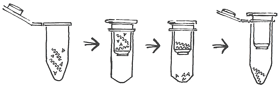 QGEN - Nukleové kyseliny